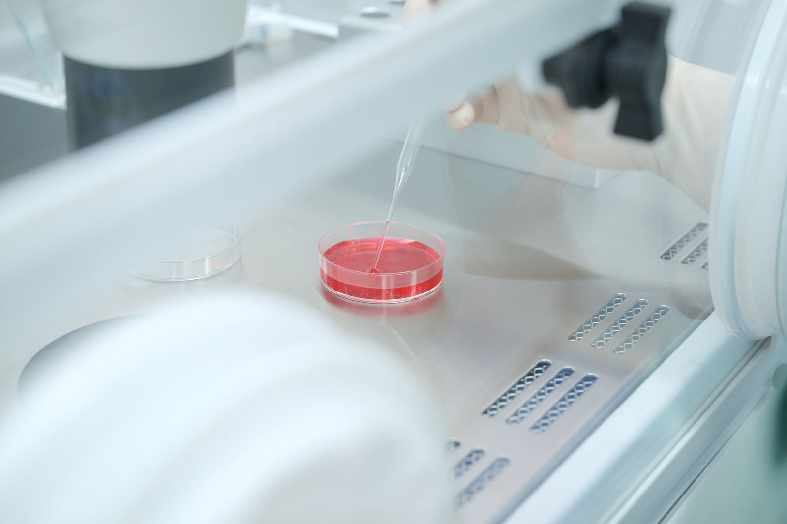 Angel Baby IVF Clinic IUI手术