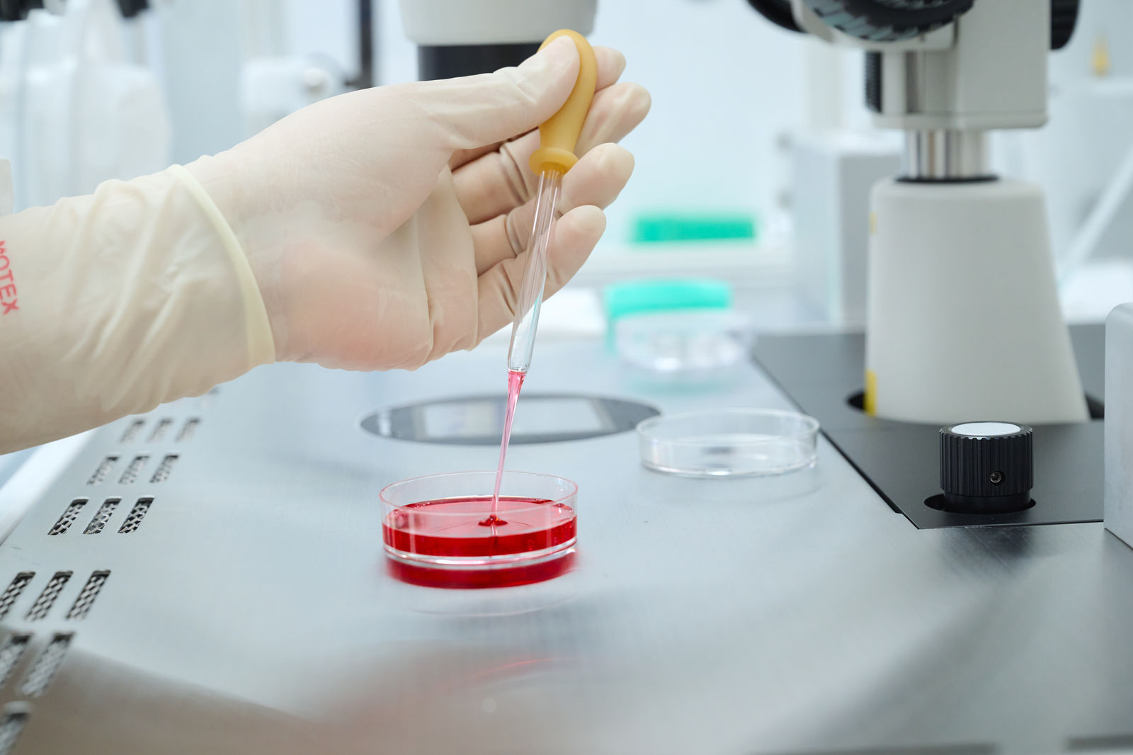 Angel Baby IVF Clinic 冻卵服务